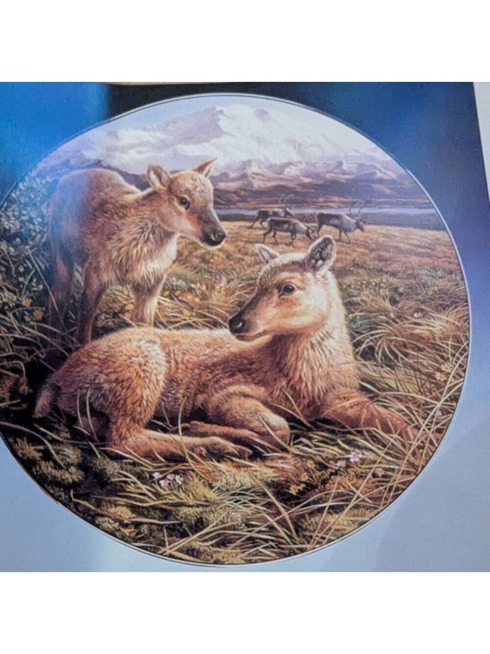 Royal Grafton REINDEER collector plate"Reindeer Young"